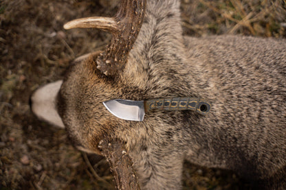 Alpine Skinner – “The Ghost in the Field”