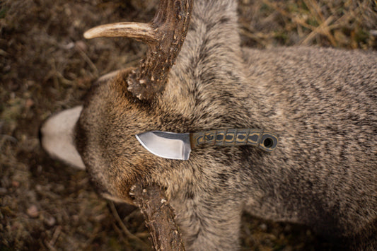 Alpine Skinner – “The Ghost in the Field”