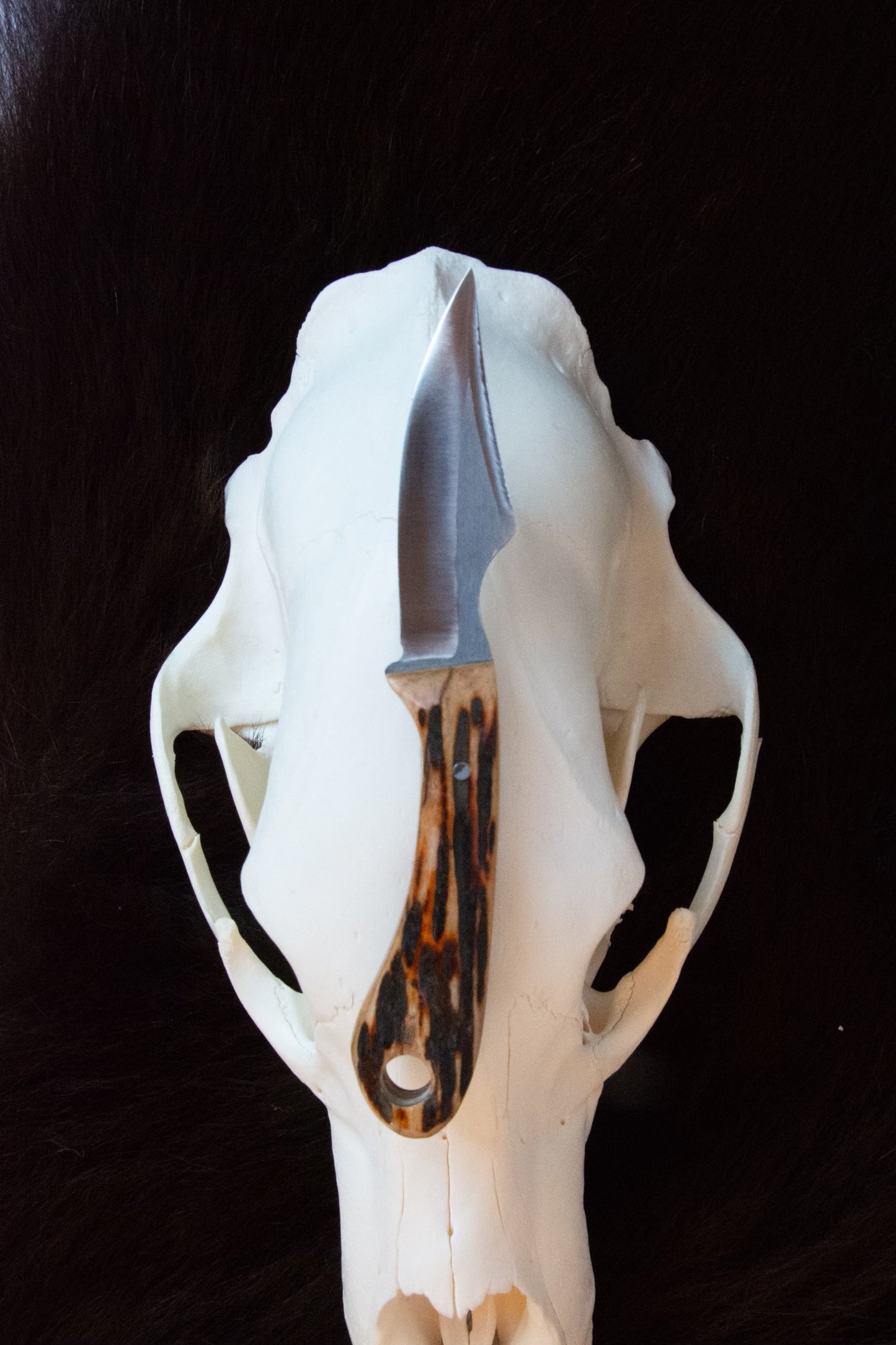 EDC – “The Operator’s Everyday”